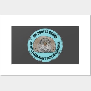 Round Pallas Cat Ice Blue Posters and Art